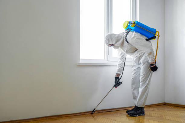 Professional Pest Control in Reston, VA